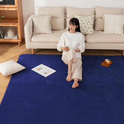 Softime カーペット ラグ ラグマット 185×185cm（約2畳）絨毯 滑り止め付 ラグカーペット 軽量設計 洗える 地毯 抗菌 防臭 防ダニ フランネルラグ オールシーズン 床暖房 ホットカーペット対応 無地・アイボリー