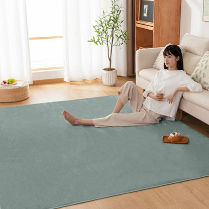 Softime カーペット ラグ ラグマット 185×185cm（約2畳）絨毯 滑り止め付 ラグカーペット 軽量設計 洗える 地毯 抗菌 防臭 防ダニ フランネルラグ オールシーズン 床暖房 ホットカーペット対応 無地・アイボリー