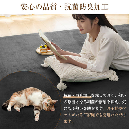 Softime カーペット ラグ 低反発 ラグマット 厚手 15mm 絨毯 防音 200×250cm 約3畳 滑り止め付 防ダニ 抗菌 防臭 地毯 オールシーズン快適 床暖房 ホットカーペット対応 じゅうたん リビングマット 無地・ベージュ