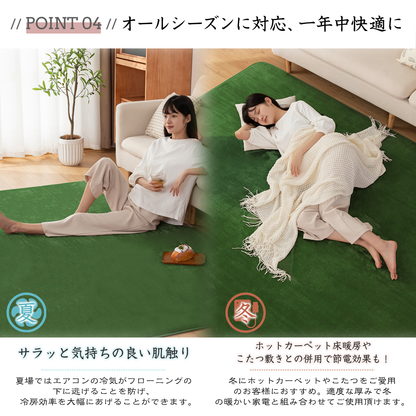 Softime カーペット ラグ ラグマット 185×185cm（約2畳）絨毯 滑り止め付 ラグカーペット 軽量設計 洗える 地毯 抗菌 防臭 防ダニ フランネルラグ オールシーズン 床暖房 ホットカーペット対応 無地・アイボリー