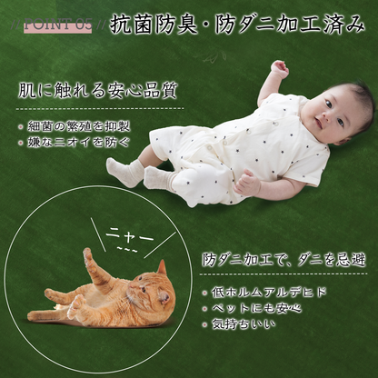 Softime カーペット ラグ ラグマット 185×185cm（約2畳）絨毯 滑り止め付 ラグカーペット 軽量設計 洗える 地毯 抗菌 防臭 防ダニ フランネルラグ オールシーズン 床暖房 ホットカーペット対応 無地・アイボリー